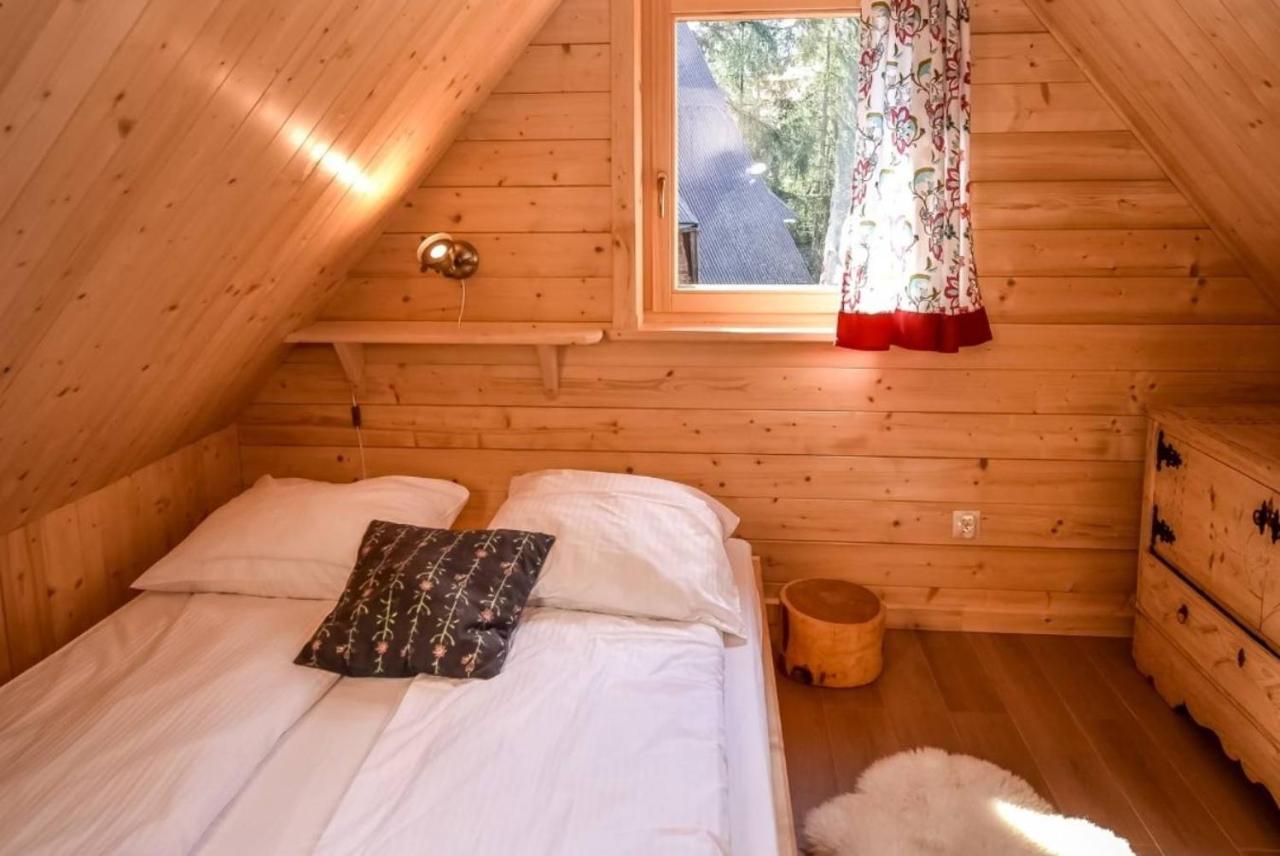 Villa Szymoszkowa Ski Kościelisko Extérieur photo